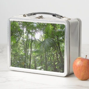 Sunlight Through Rainforest Canopy Metal Lunch Box