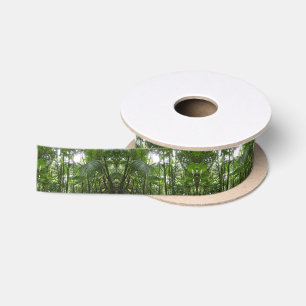 Sunlight Through Rainforest Canopy Satin Ribbon