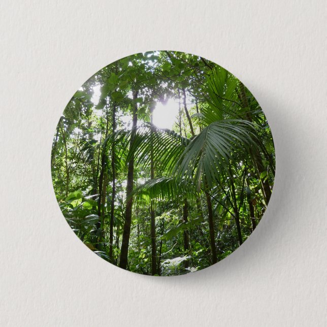 Sunlight Through Rainforest Canopy Tropical Green 6 Cm Round Badge (Front)