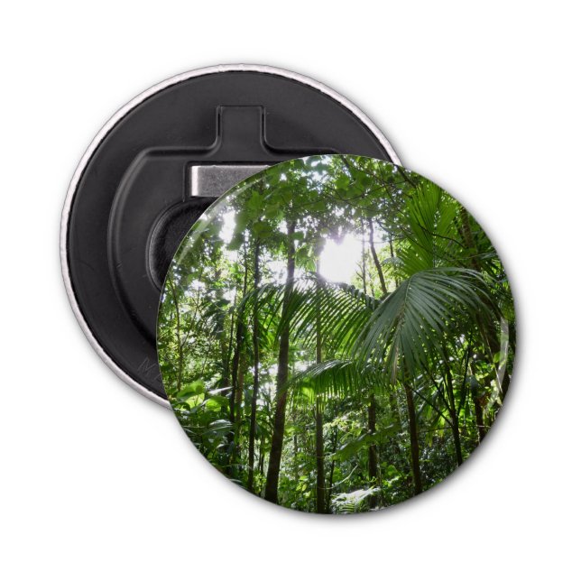 Sunlight Through Rainforest Canopy Tropical Green Bottle Opener (Front)