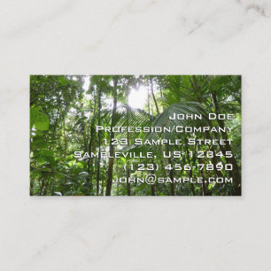 Sunlight Through Rainforest Canopy Tropical Green Business Card