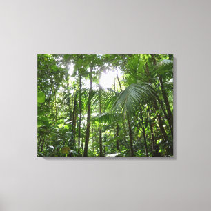 Sunlight Through Rainforest Canopy Tropical Green Canvas Print