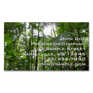 Sunlight Through Rainforest Canopy Tropical Green Magnetic Business Card