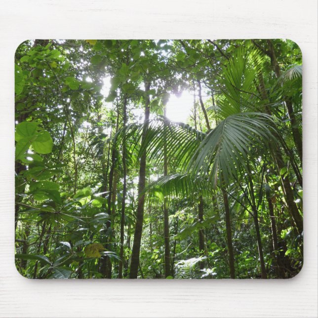Sunlight Through Rainforest Canopy Tropical Green Mouse Mat (Front)