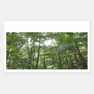 Sunlight Through Rainforest Canopy Tropical Green Rectangular Sticker