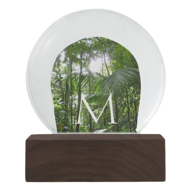 Sunlight Through Rainforest Canopy Tropical Green Snow Globe (Front)