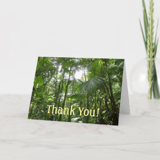 Sunlight Through Rainforest Canopy Tropical Green Thank You Card