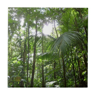 Sunlight Through Rainforest Canopy Tropical Green Tile