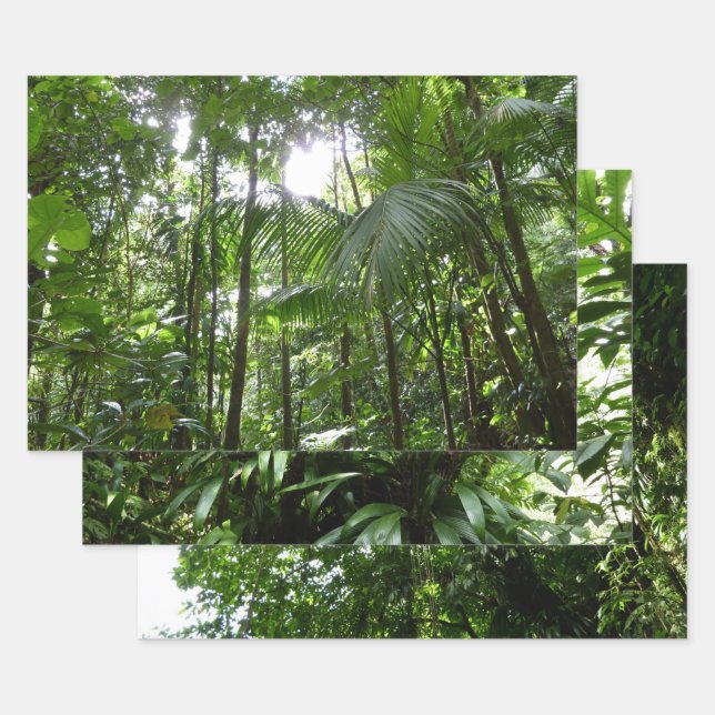 Sunlight Through Rainforest Canopy Tropical Green Wrapping Paper Sheet (Set)
