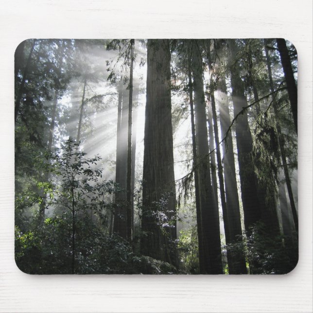Sunlight through the Redwoods Mouse Mat (Front)