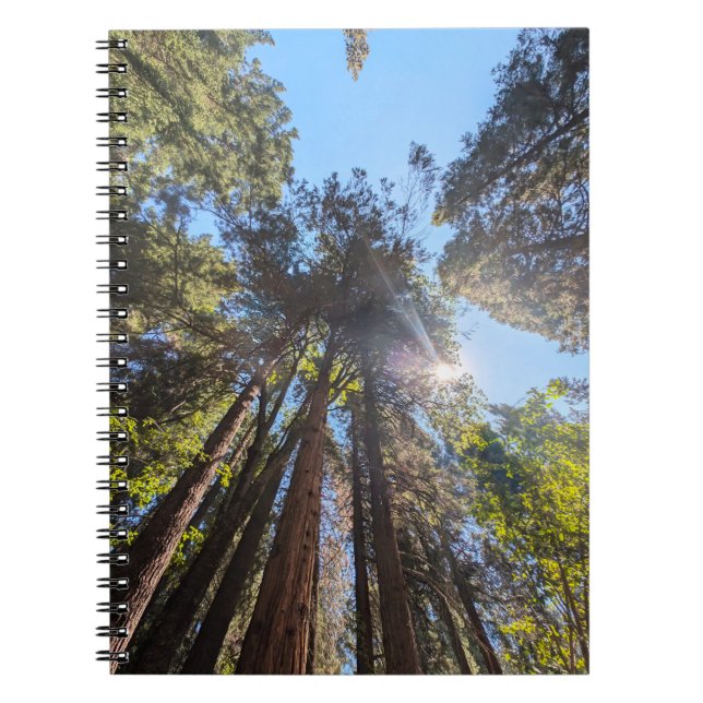Sunlight through the trees notebook (Front)