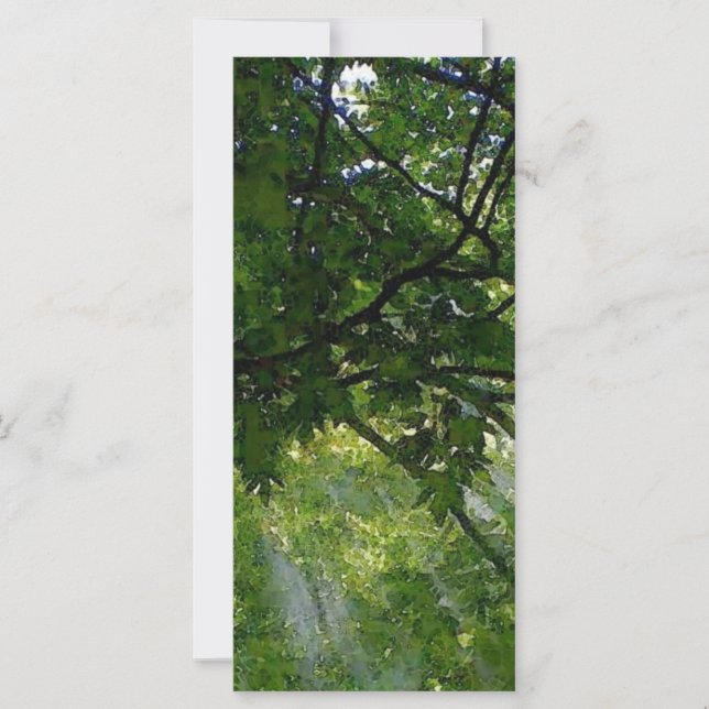 Sunlight Through Trees (Front)