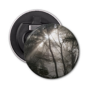 Sunlight Through Trees Dark Woodland Bottle Opener