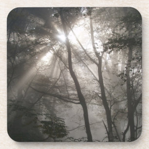 Sunlight Through Trees Dark Woodland Coaster