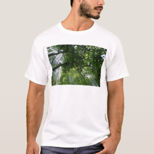 Sunlight Through Trees T-Shirt