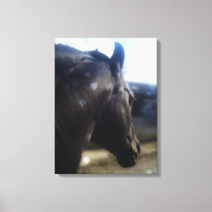 Sunlight - Wrapped Canvas