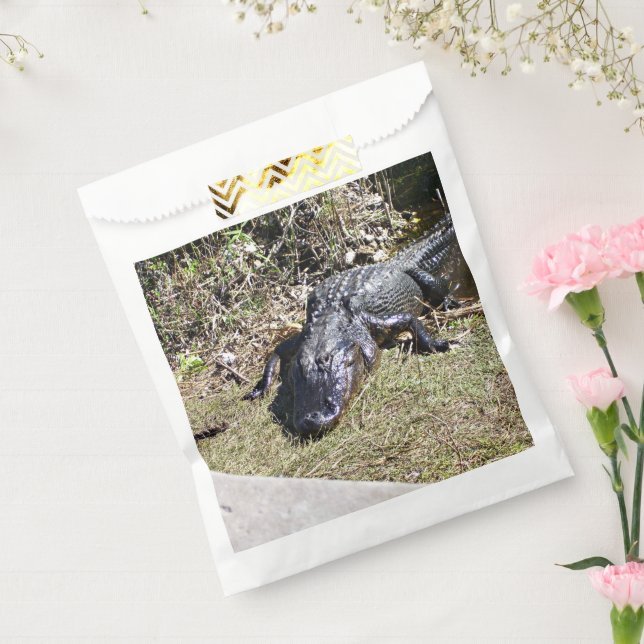 Sunlit Alligator on Everglades Grass Favour Bags (Sealed)