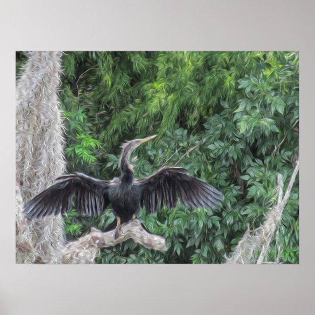 Sunlit Anhinga on a Mossy Branch  Poster (Front)