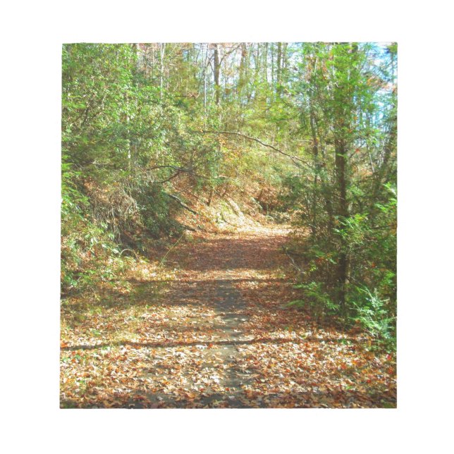 Sunlit Autumn Forest Trail Notepad (Front)