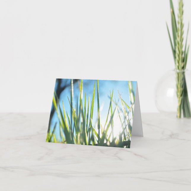 Sunlit Blades Card (Front)