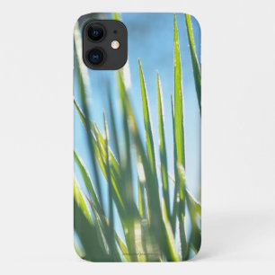 Sunlit Blades iPhone 11 Case