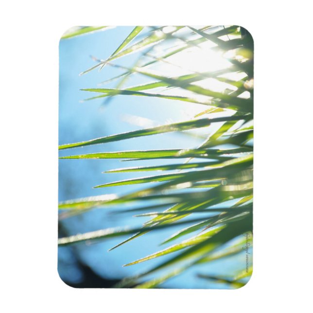 Sunlit Blades Magnet (Vertical)