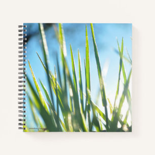 Sunlit Blades Notebook