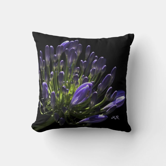 Sunlit Blooming Purple Agapanthus, African Lily Cushion (Front)