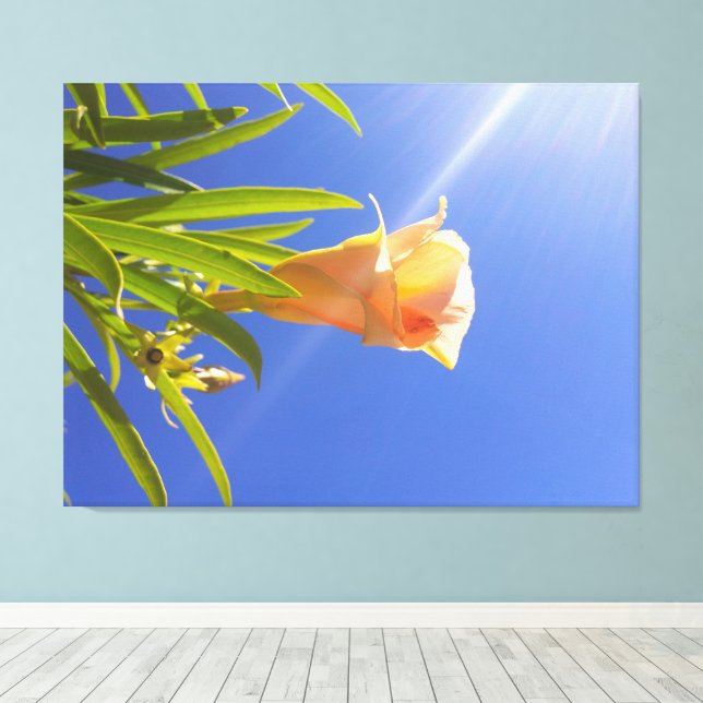 Sunlit Blossom Beneath a Deep Blue Sky Canvas Print (Insitu(Wood Floor))