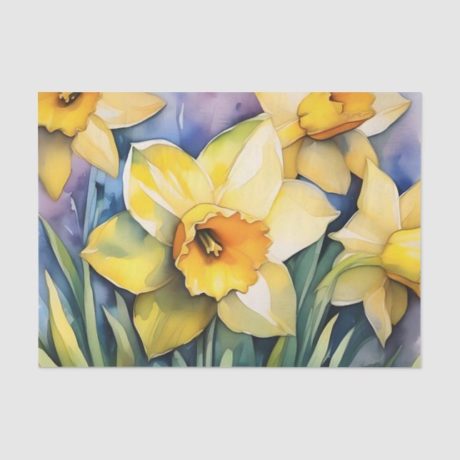 Sunlit Daffodils Watercolor Tissue Paper (Front)
