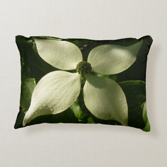 Sunlit Dogwood Blossom Spring Floral Decorative Cushion (Back)