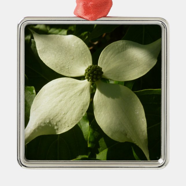 Sunlit Dogwood Blossom Spring Floral Metal Tree Decoration (Front)
