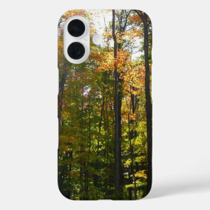 Sunlit Fall Forest Autumn Landscape iPhone 16 Case