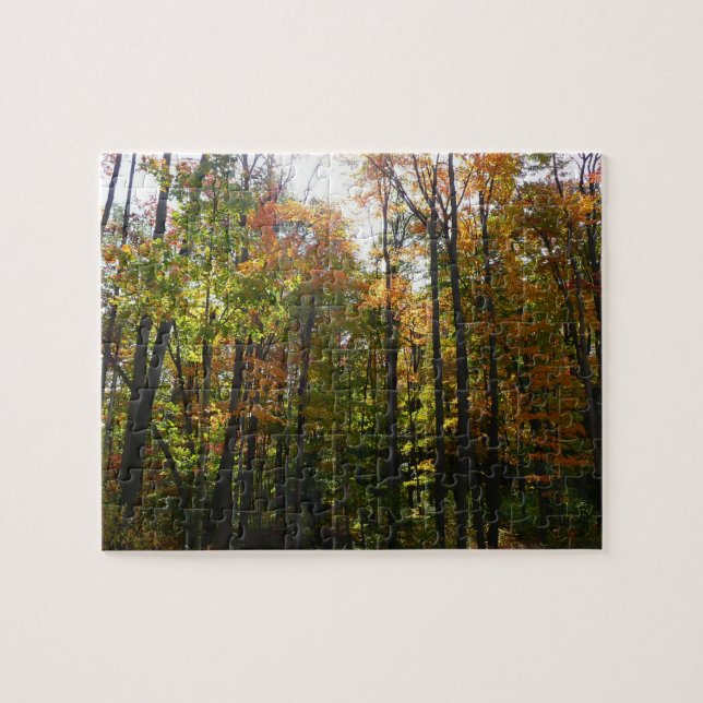 Sunlit Fall Forest Autumn Landscape Jigsaw Puzzle (Horizontal)