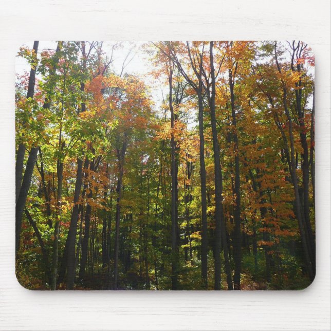 Sunlit Fall Forest Autumn Landscape Mouse Mat (Front)