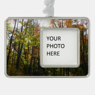 Sunlit Fall Forest Autumn Landscape Silver Plated Framed Ornament
