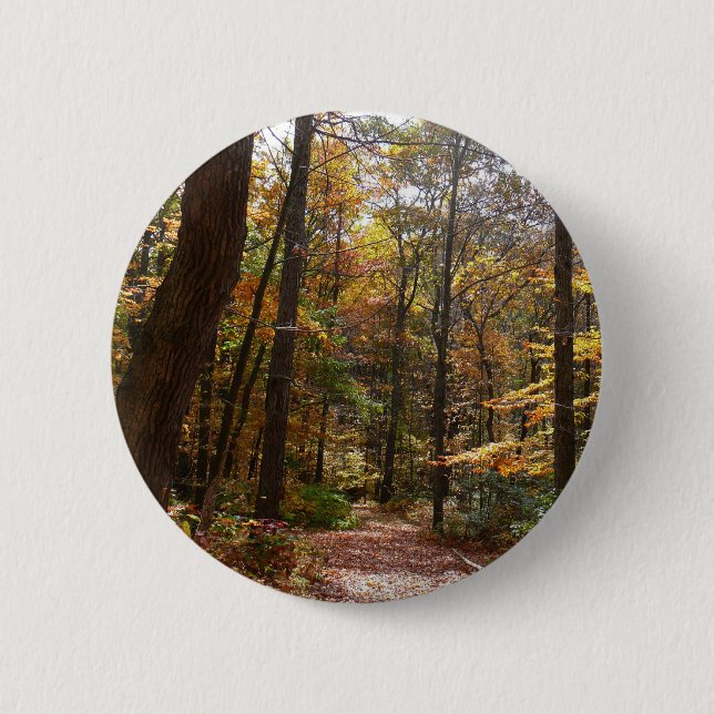 Sunlit Fall Trail in Laurel Hill State Park 6 Cm Round Badge (Front)