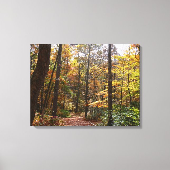 Sunlit Fall Trail in Laurel Hill State Park Canvas Print (Front)