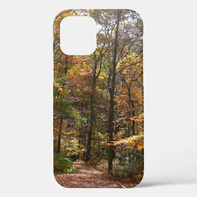 Sunlit Fall Trail in Laurel Hill State Park Case-Mate iPhone Case (Back)