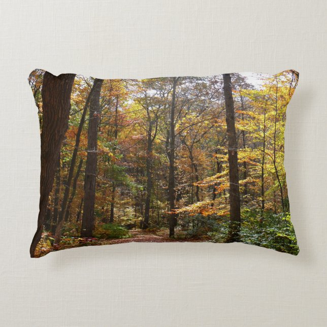 Sunlit Fall Trail in Laurel Hill State Park Decorative Cushion (Front)