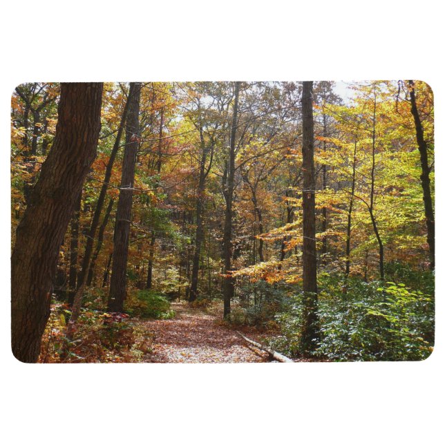 Sunlit Fall Trail in Laurel Hill State Park Floor Mat (Front)