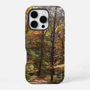 Sunlit Fall Trail in Laurel Hill State Park iPhone 16 Pro Case