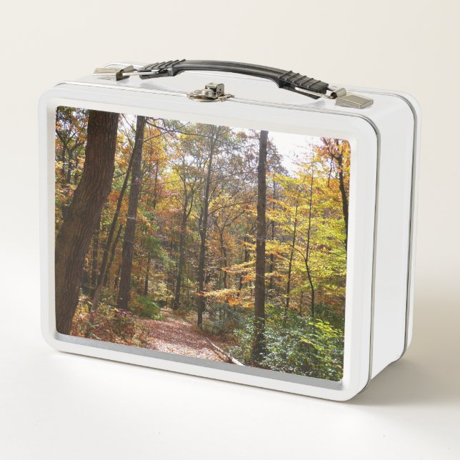 Sunlit Fall Trail in Laurel Hill State Park Metal Lunch Box (Front)