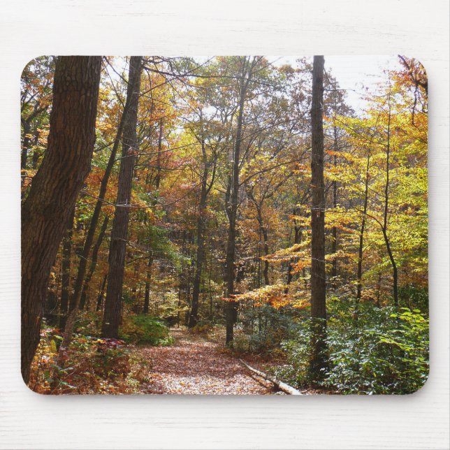 Sunlit Fall Trail in Laurel Hill State Park Mouse Mat (Front)