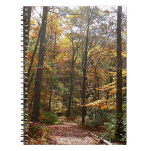 Sunlit Fall Trail in Laurel Hill State Park Notebook