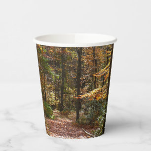 Sunlit Fall Trail in Laurel Hill State Park Paper Cups