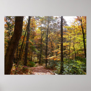 Sunlit Fall Trail in Laurel Hill State Park Poster
