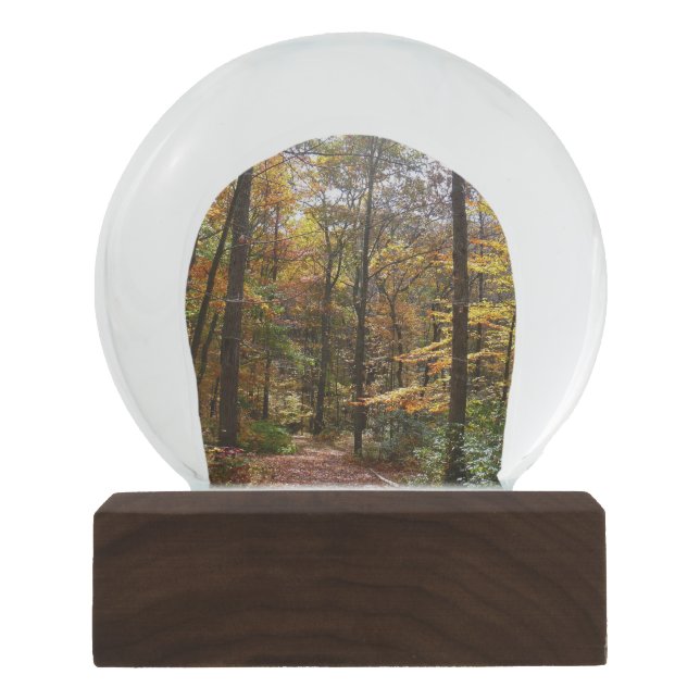 Sunlit Fall Trail in Laurel Hill State Park Snow Globe (Front)