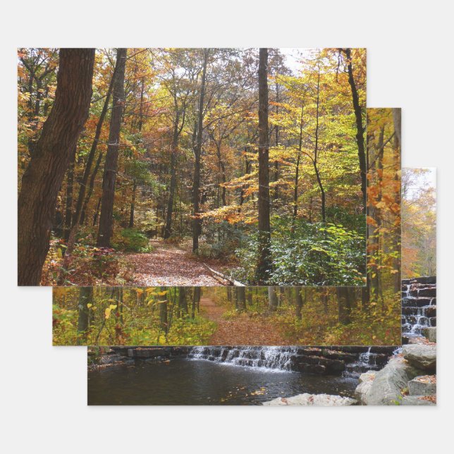 Sunlit Fall Trail in Laurel Hill State Park Wrapping Paper Sheet (Set)