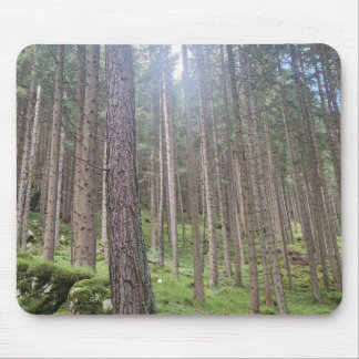 Sunlit Forest - Green Woodland Photography Mousepa Mouse Mat